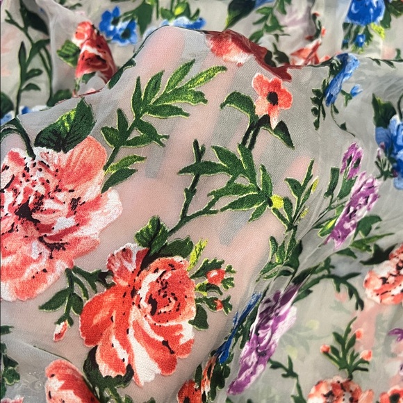 Alice + Olivia Multicolor Floral Sheer V-Neck Blouse - Picture 8 of 8